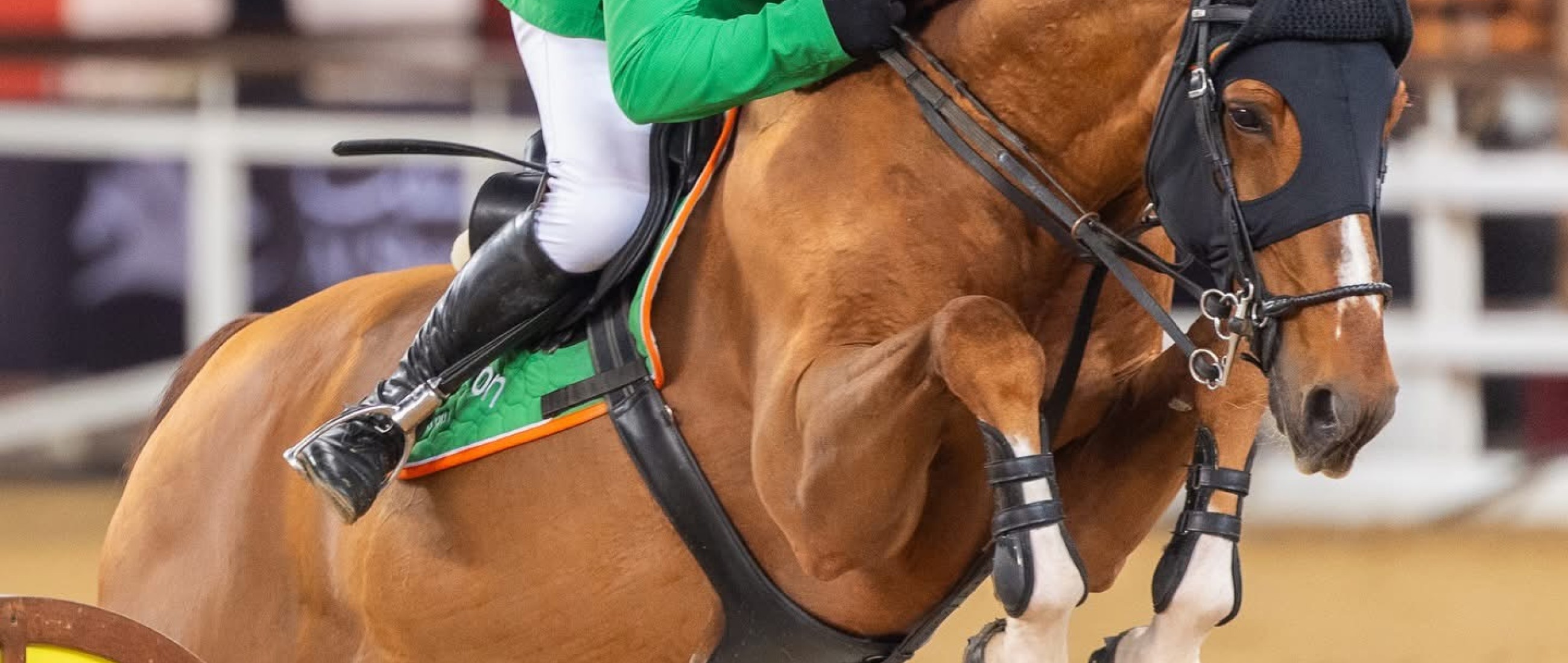 Sterke 2e plaats voor Equitron Naxcel V in de GP van Doha!